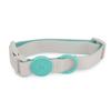 Candy Color Medium Dog Collar Fashion Cat Pet Collar For Puppy Small Dogs Leashes