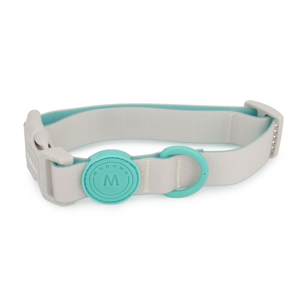 Candy Color Medium Dog Collar Fashion Cat Pet Collar For Puppy Small Dogs Leashes