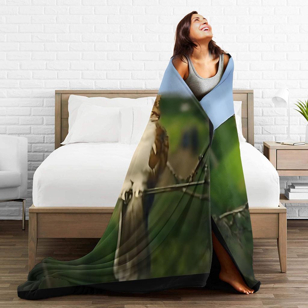 My Spirit Animal Funny meowl Meme Blanket Super Warm cat owl Meme brainrot Throw Blanket Winter Travel Couch Bed Bedspread