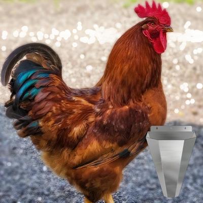 Praktischer Rostfreier Stahl Geflügelschlachtkegel Mit Sicheren Befestigungslöchern Flache Basis Inklusive Schutzhandschuhe