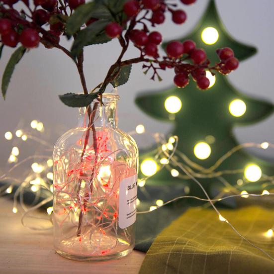 String Light Safe Waterproof Copper Wire Fairy Lights