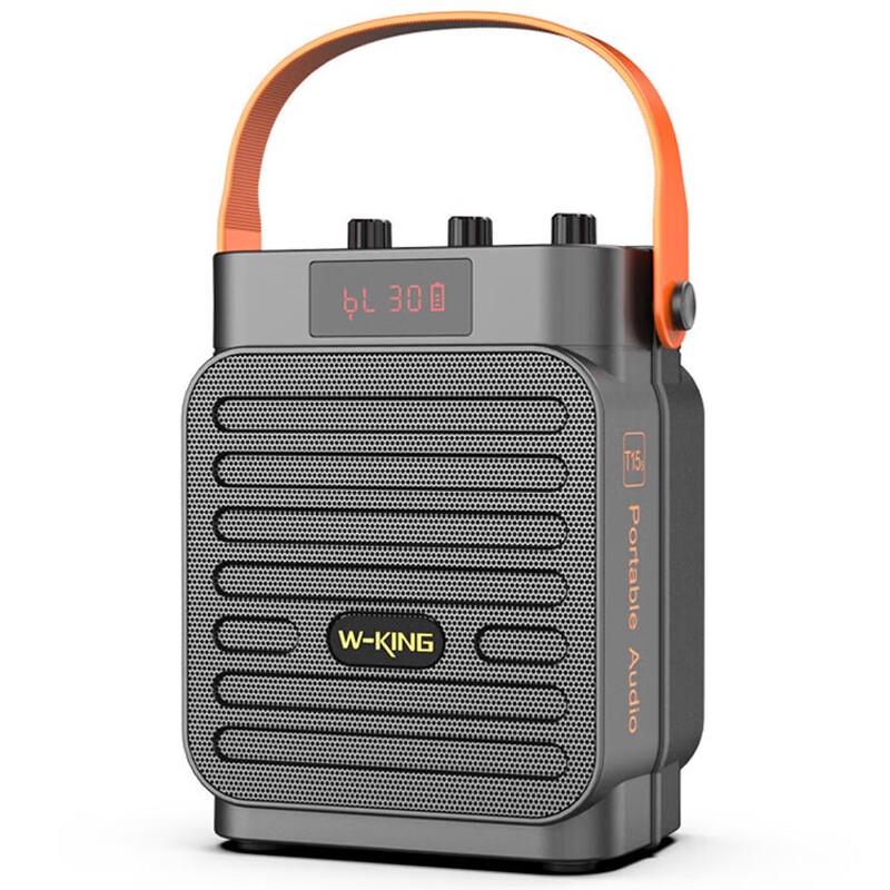 W-King T15S Portable Bluetooth Speaker