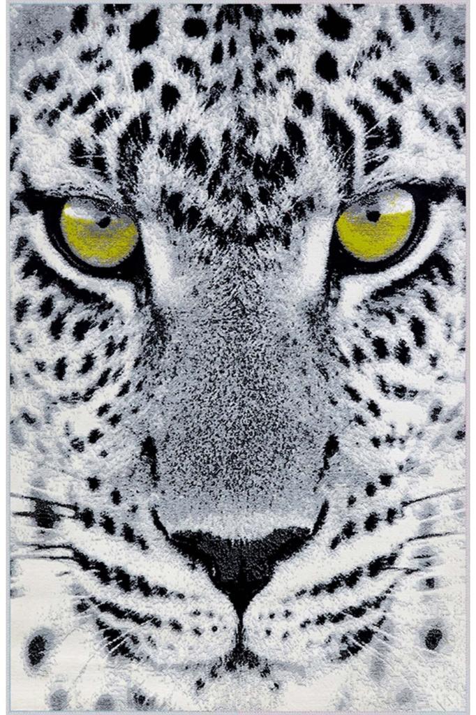 Eliana Home Washable Printed Carpet LNA1442