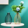 Metal Frame Vase with Clear Glass Tube Hydroponic Container for Desk Decoration