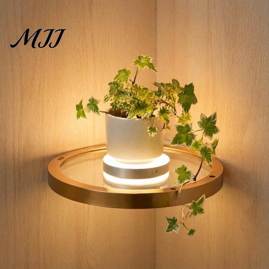 Luxury Metal Wall Organizer Floating Shelf with LED Light, Modern Gold Display Rack Shelves Led Lights for Plants Book, Space Saving Mounted