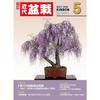 Modern Bonsai May 2026 Issue Magazine