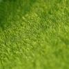 Artificial Roll Grass Figure Synthetic Moss Simulation Turf Lawn Fake Faux Grass Roll Garden Outdoor Decoration Desk Accessories