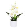 Plastic Bonsai Desktop Ornament Artificial Flower No-fading Butterfly Orchid Multicolor White Flowerpot Fake Butterfly Flower