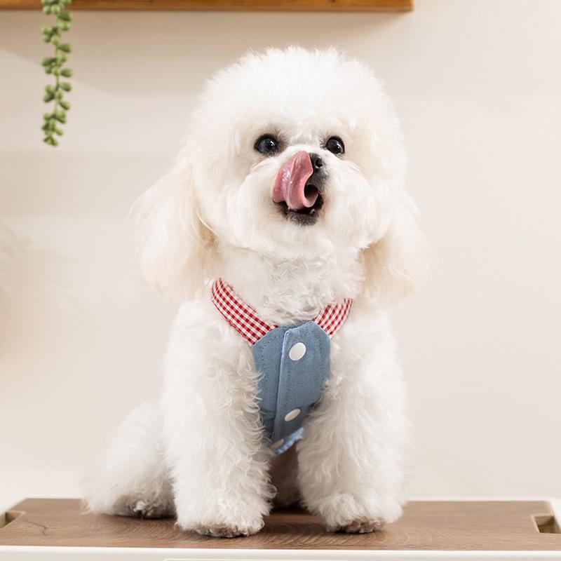 New Spring and Summer Denim Bipod Medium and Small Dog Teddy Bigbear Tractable Dog Clothing Cat Pet Clothes