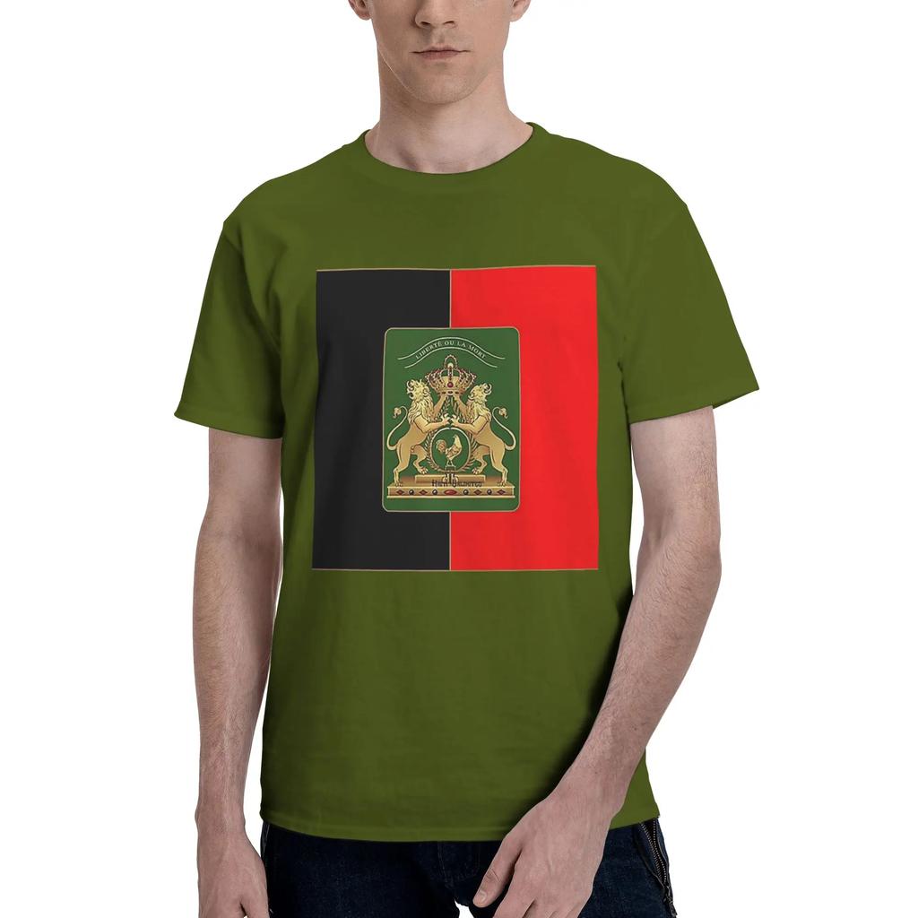 Haitian Independence Flag Men TShirt Oversized T Shirts Mens Round Neck Cotton Tees Short Summer Male