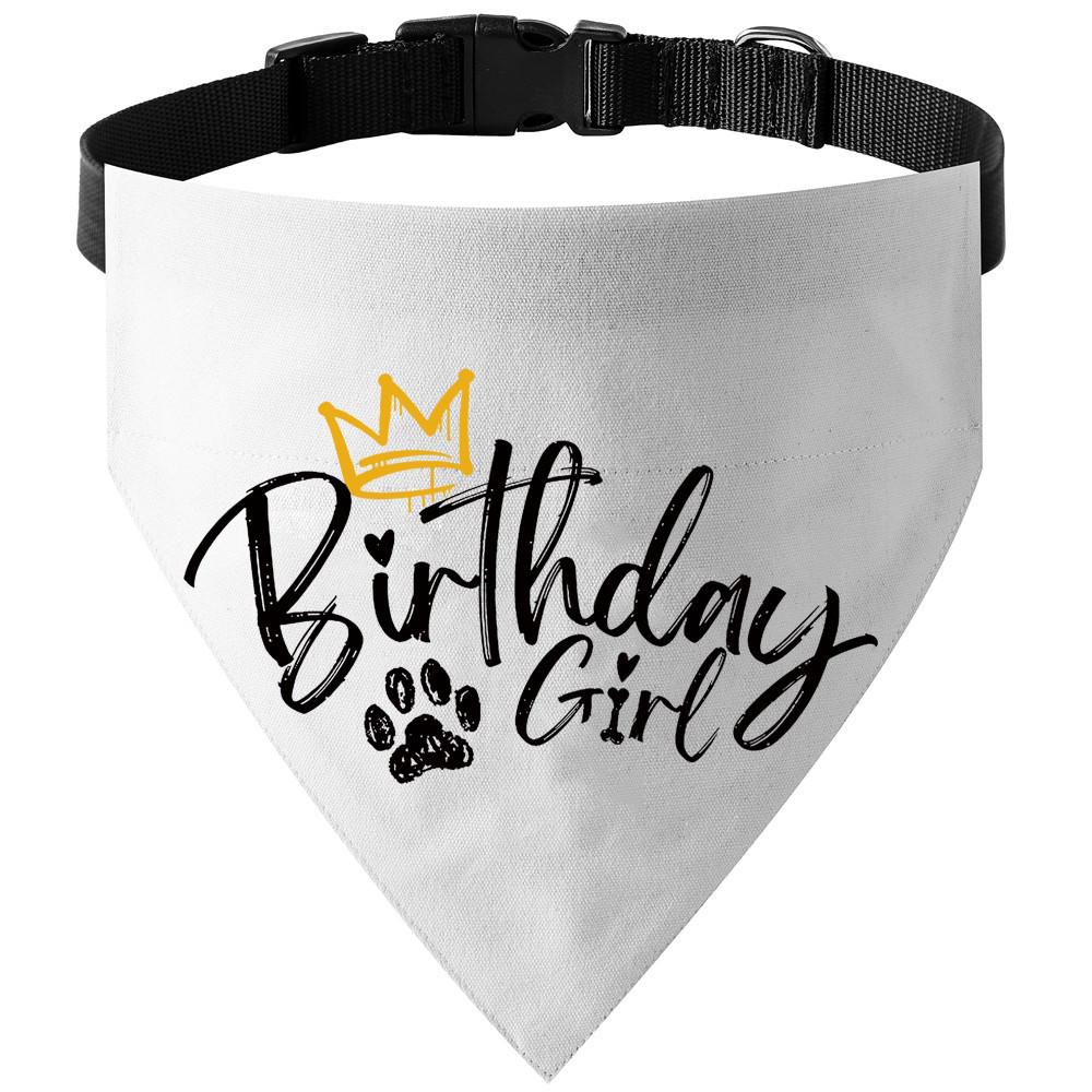 Pure Cotton Canvas Dog Collar & Birthday Bandana Set S