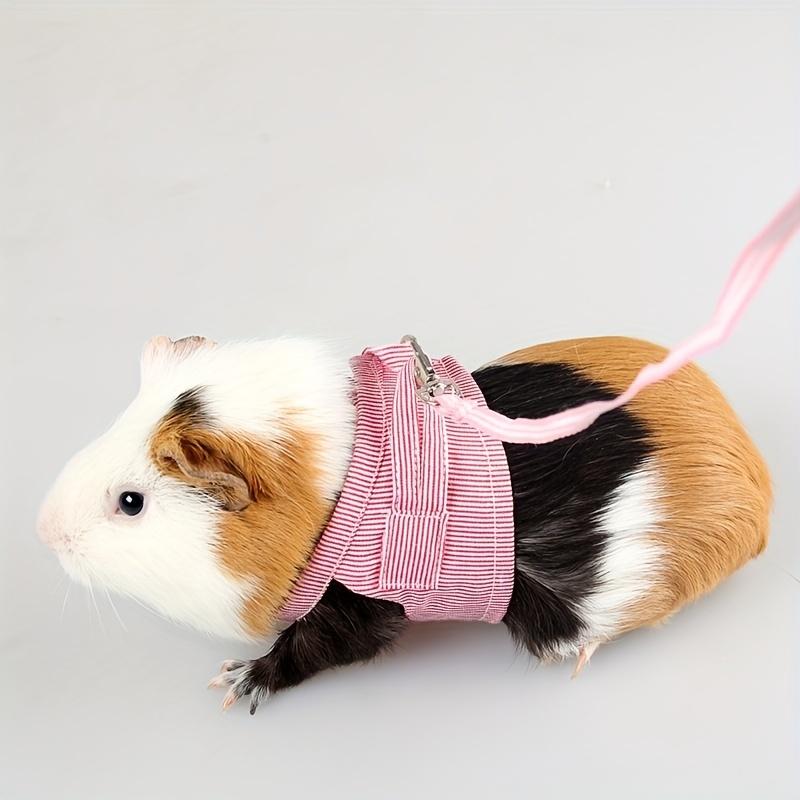 Small Pet Leash Harness Bunny Harness and Leash Set Small Animals Walking Chest Strap for Guinea Pig Hamster Chinchilla Rabbit
