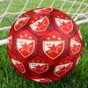 Crvena Zvezda Size 5 Soccer Ball,Indoor/Outdoor Suitable for Training Matches Tournaments Practice Games Perfect Gift for Fan
