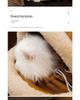 Portable Winter Warm Cat & Dog Backpack: Double Shoulder Pet Carrier