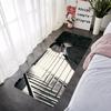 House Entrance Doormat Hallway Carpet David Bowies Living Room Rugs Foot Carpets Bath Rug Floor Mats Non-slip Home Decor