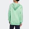 Adidas Neo Casual Solid Color Hoodie Men Hoodies Green GI7198