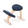 Balance Lab Balance Easy Standard Navy Balance Chair for Improved Made In Height Adjustable Frame, Blue, 147BN004, Posture, Japan,