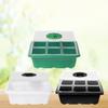 6/12 Holes Seed Starter Tray With Humidity Dome Succulent Propagation Tray Mini Greenhouse Germination Tray For Succulent Plant