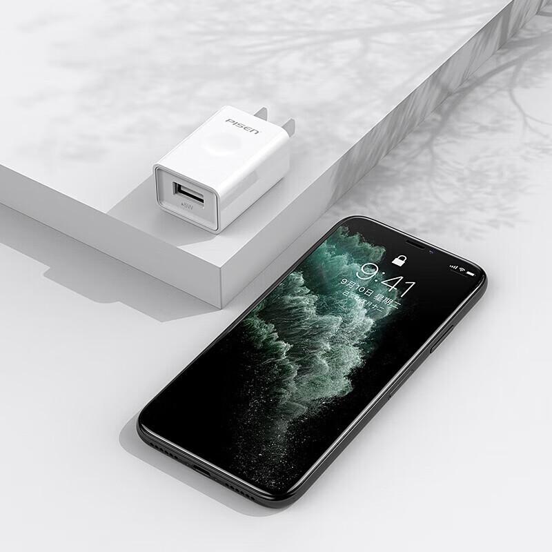 Pisen 1A Single Port Mini USB Wall Charger