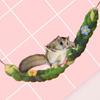 Yousheng Hamster Climbing Rope Fun And Exercise Develops Coordination And Balance Hamsters Guinea Pigs Ferrets Climbing Crawling Biting Toy Glide