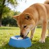 Cães – Louça para cães