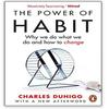 The Power of Habit: Why We Do What We Do and How To Change Paperback