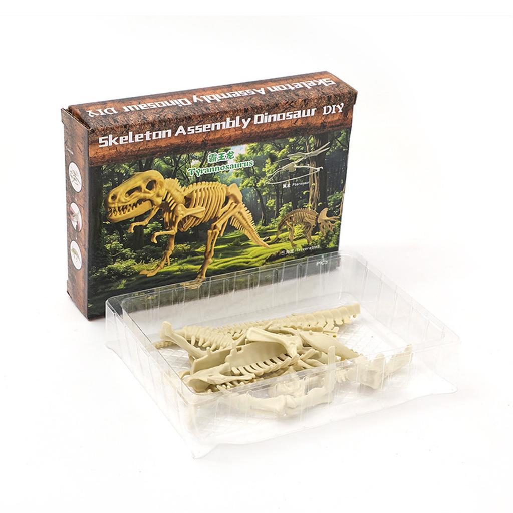 Dinosaur Skeleton DIY Toys Educational Puzzles Model Set For Kids Over 6 Years Old