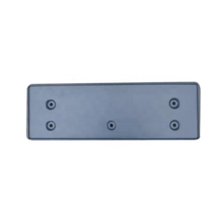 The 3W3807287N License Plate Holder fits the 2009 Continental GT.