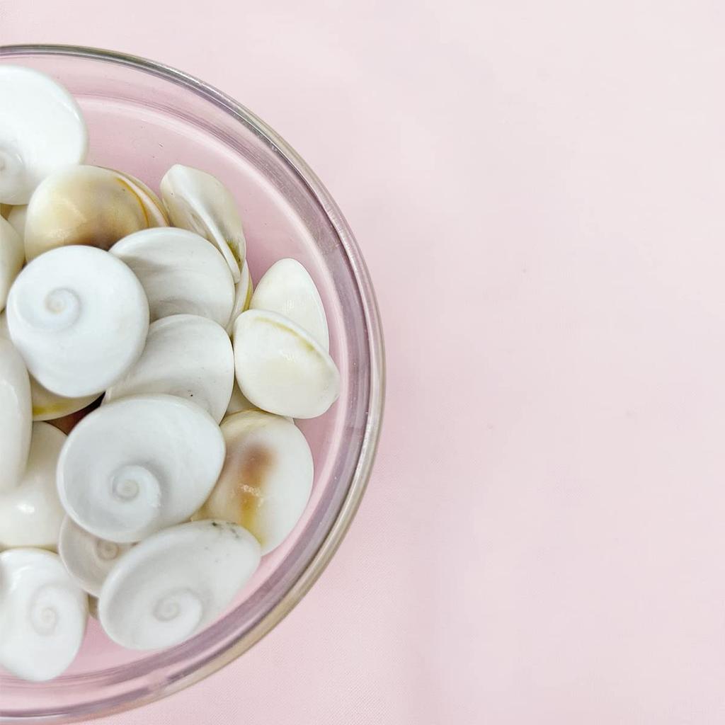 Natural Gomati Chakra 50 Pcs for Diwali Puja | Original Gomti Chakra Sea Shells | Vastu Spiritual Items for Wealth Prosperity Good Luck | Temple