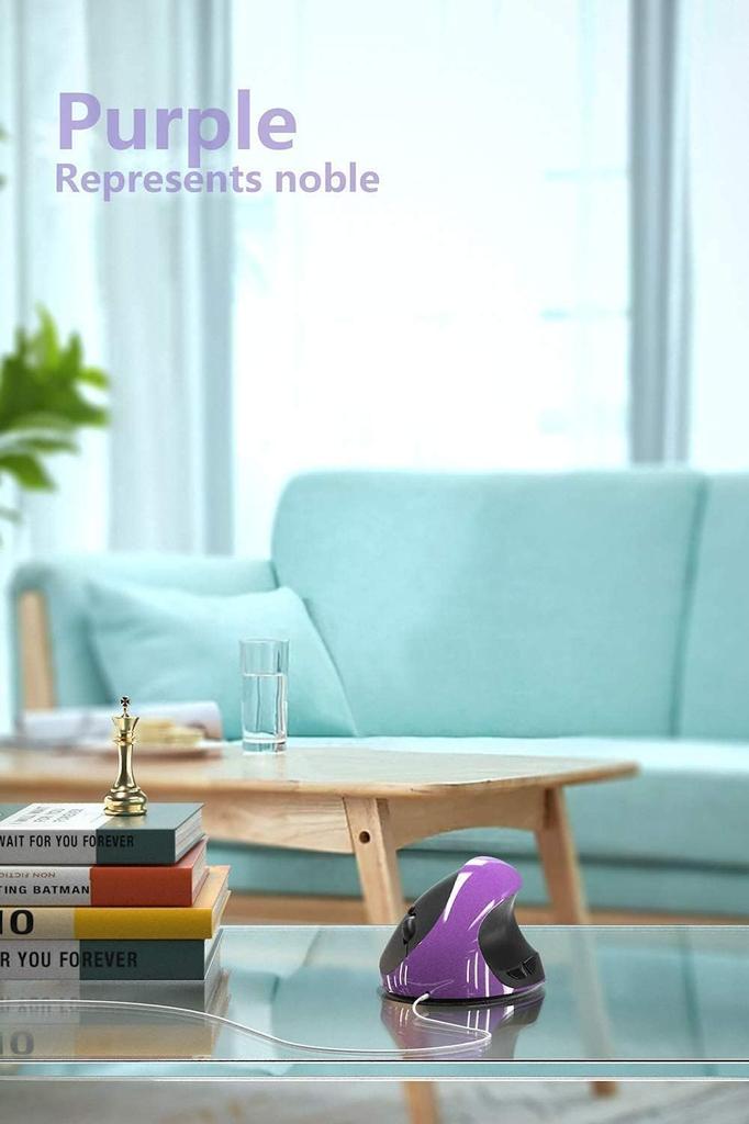 BeWishes Ergonomic Vertical Mouse, Wireless 2.4G High-Precision Rechargeable Ergonomic Optical Mouse with Adjustable DPI 80012001600, Reduces Wrist