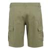 Regatta Mens Ruwan Casual Shorts
