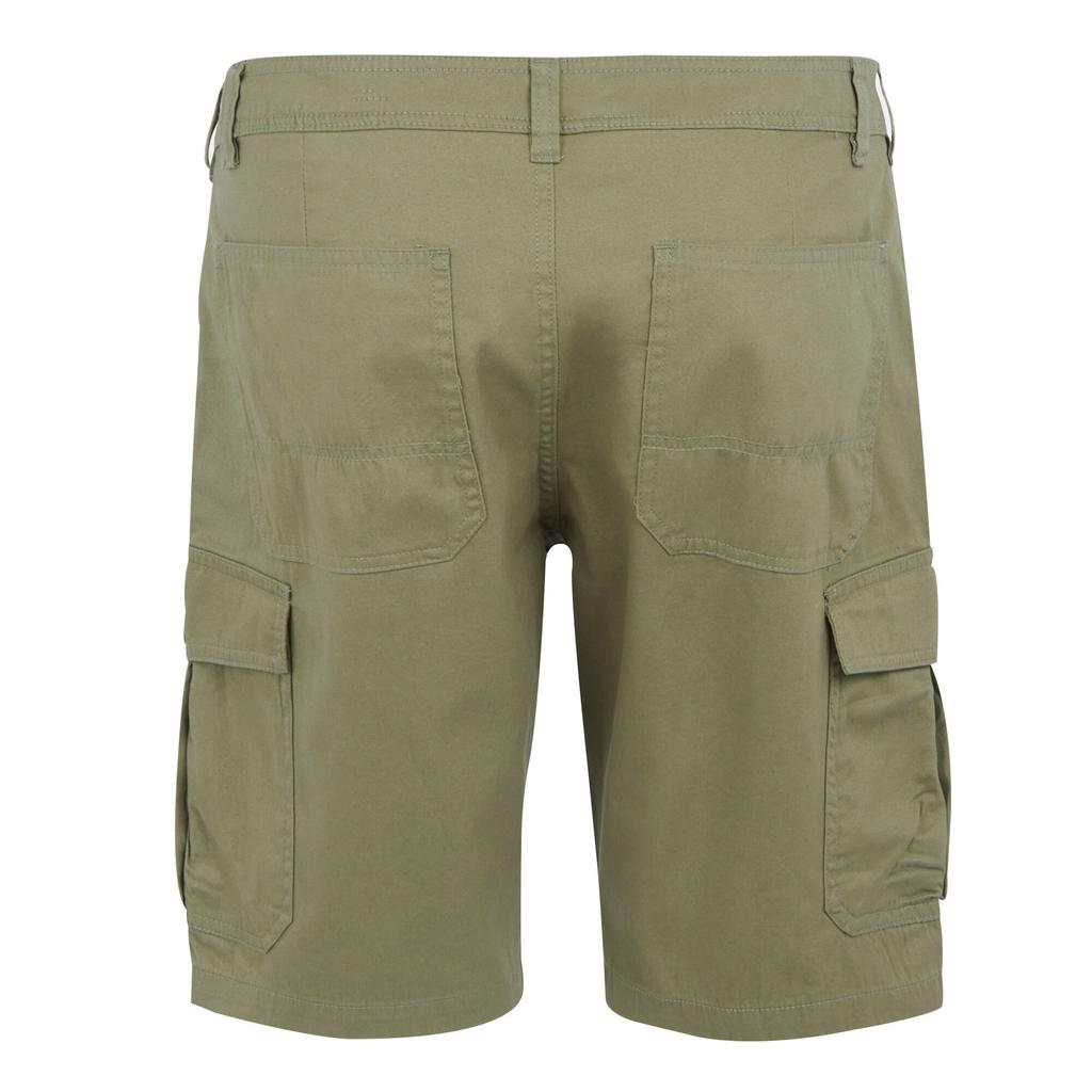 Regatta Mens Ruwan Casual Shorts