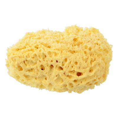 Holbein No. 5 Natural Sea Sponge, Coarse Texture, 15 X 16 Cm, 212105