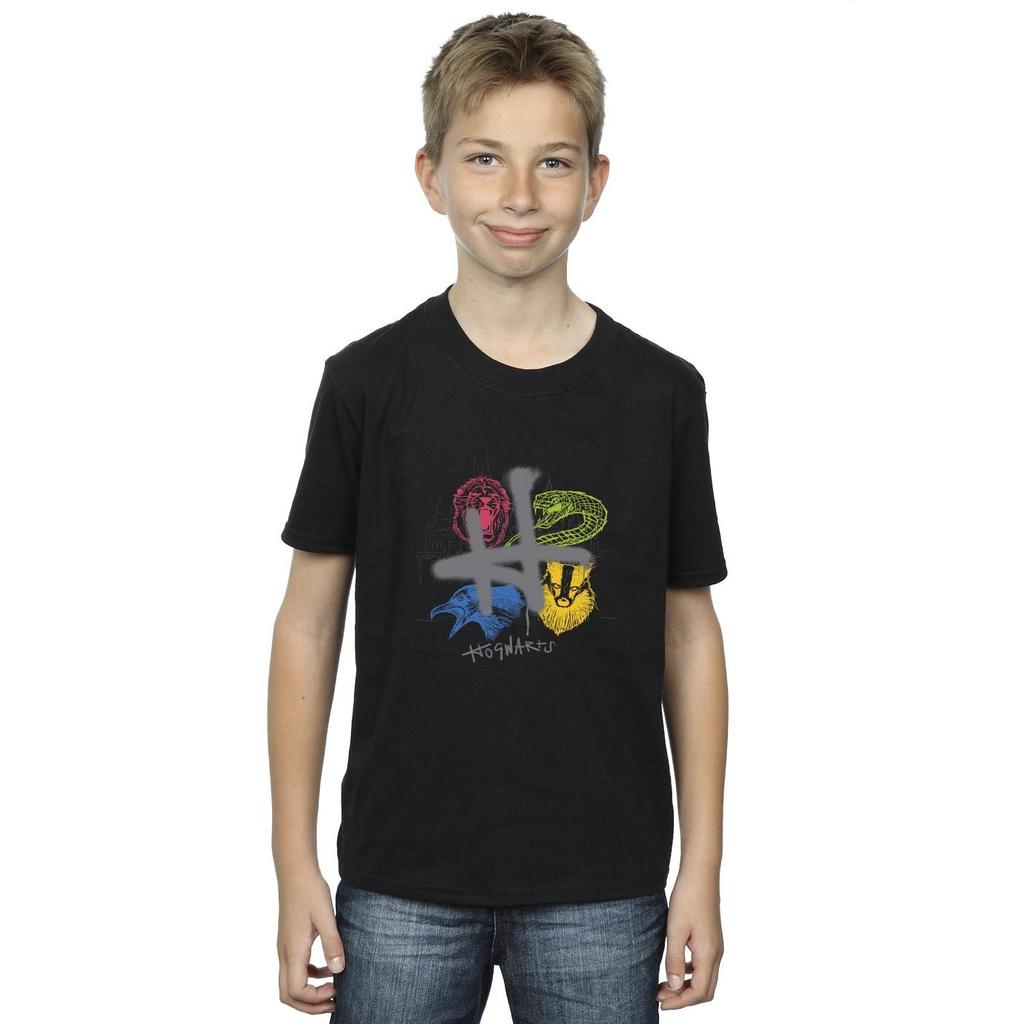 HARRY POTTER Boys Emblems H Spray T-Shirt
