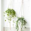 Eggshell Shape Hanging Plant Pot Water Storage Plant Container  Home Decoration