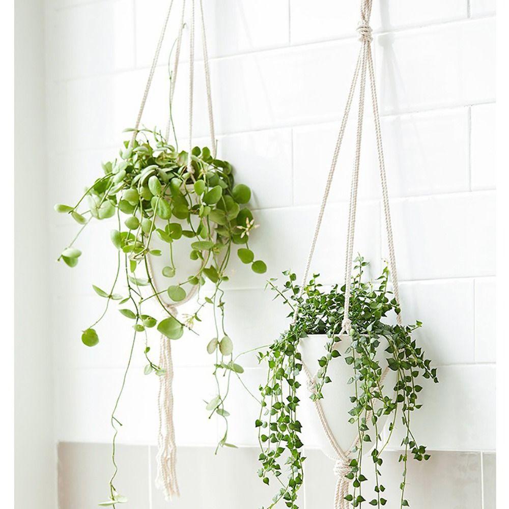 Eggshell Shape Hanging Plant Pot Water Storage Plant Container  Home Decoration