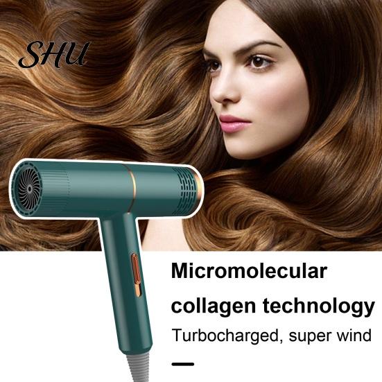 Salon-quality Hair Care Technology Dryer Household with 800W High-Power Blue Light Negative Ion Blow Double Collagen And Protection Women Men for Mute