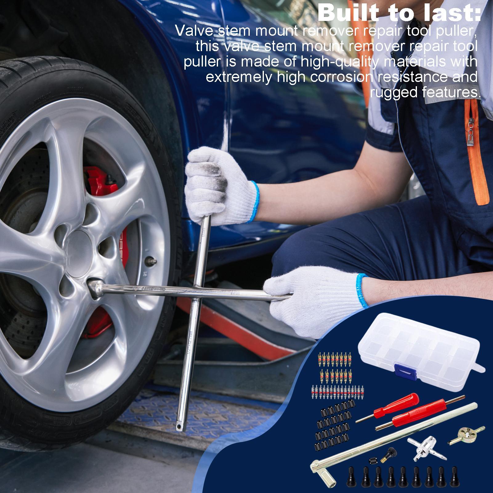 Tire Valve Removal Tool Installation Kit 65 Pieces Automotive Maintenance Supplies Car Tire Valve Core Remover For Truck ATV China Mainland