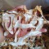 Yunnan Specialty Dried Green Stem Mushroom Slices - Seasonal Edible Product