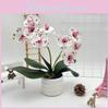 Artificial Phalaenopsis Flower Pot For Outdoor Garden Wedding Decor Photography Props And Home Decor