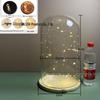Luminous Sea Urchin Glass Dome with Preserved Flowers and String Lights