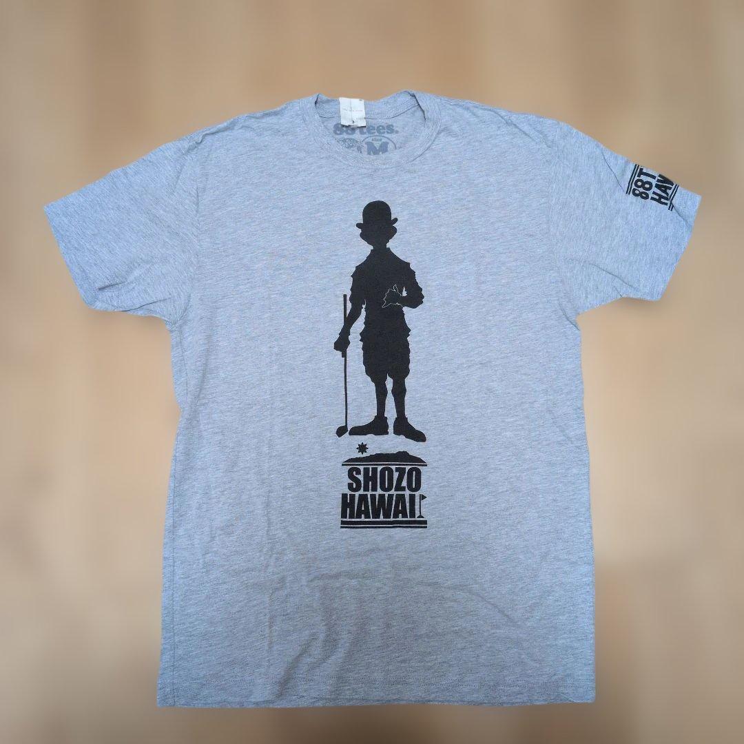 

[USED] 88tees Hawaii Limited Edition Shozo Endo Collaboration T-Shirt