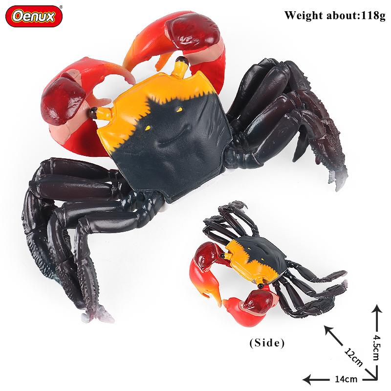 Oenux Ocean Animals Simulation Hermit Crab Nautiloidea Octopus Sea Life Model Figurines Action Figures Collection Kids Toy Gift