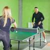 Retractable Ping Pong Net Net Ping Pong Rack Retractable with Ping-Pong Balls Professional Ping Pong Table Net Rack Kit