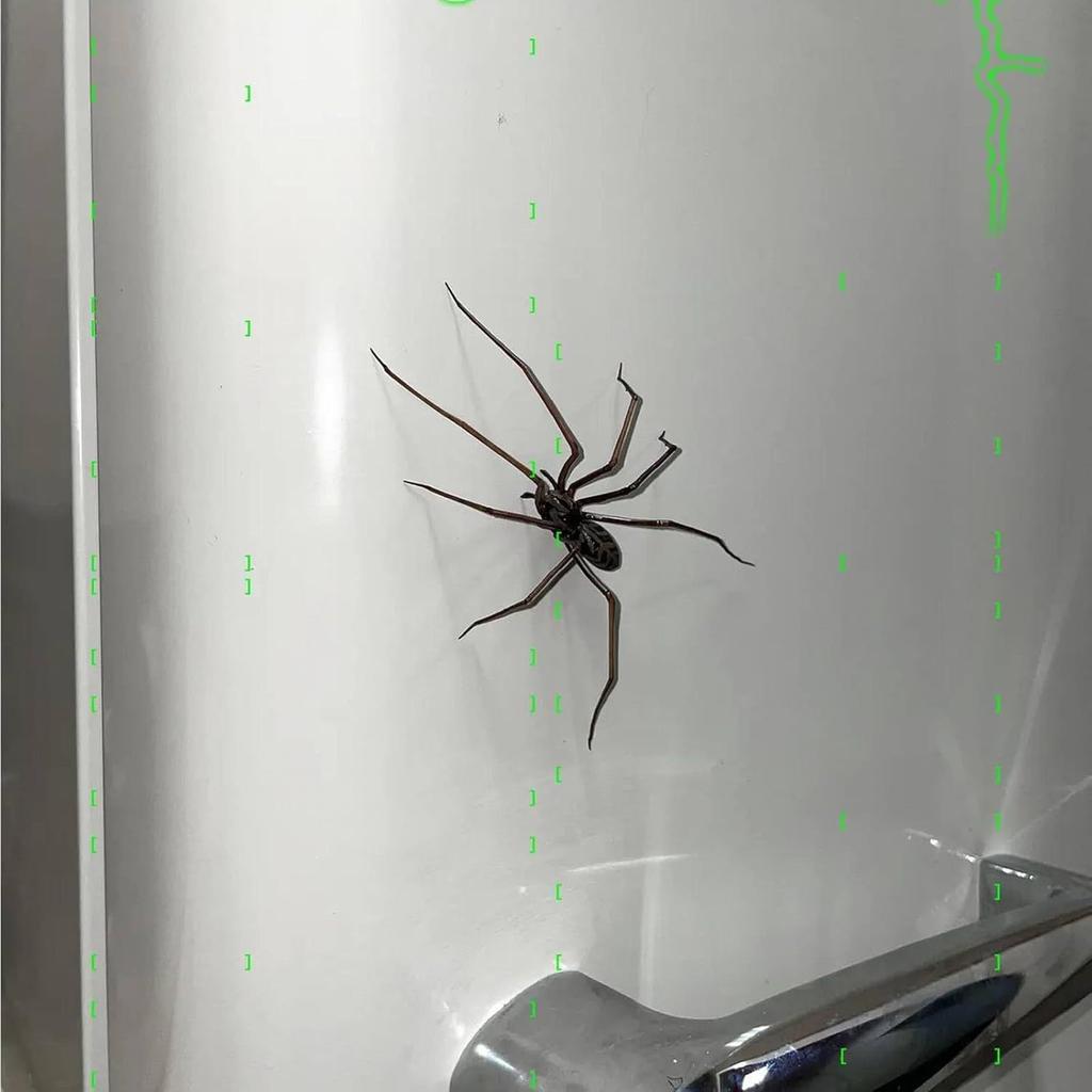 Realistic Spider Fridge Magnets Prank Joke Toy Halloween Home Kitchen Cabinet Door Decor Horror Party Layout Ornament