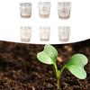 Minimal Maintenance Design Phalaenopsis Orchid Pots Self-Watering Pots