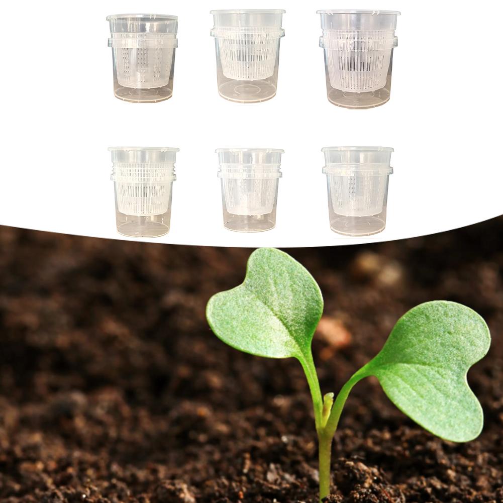 Minimal Maintenance Design Phalaenopsis Orchid Pots Self-Watering Pots