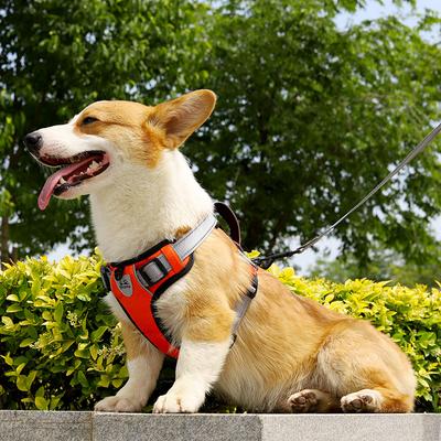 Dog Leash Pet Leash Chest and Back Coat Dog Harness Chest and Back Strap Adjustable Reflective Chest and Back