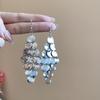Silver Needle High-End Tassel Earrings – Elegant, Fashionable, Simple Design with a Unique Touch.