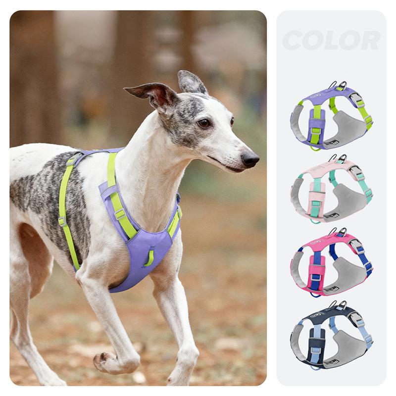 Breathable Lightweight Dog Harness Adjustable Waterproof Quick-Drying Pet Vest with Night Reflective Straps Pechera Para Perro